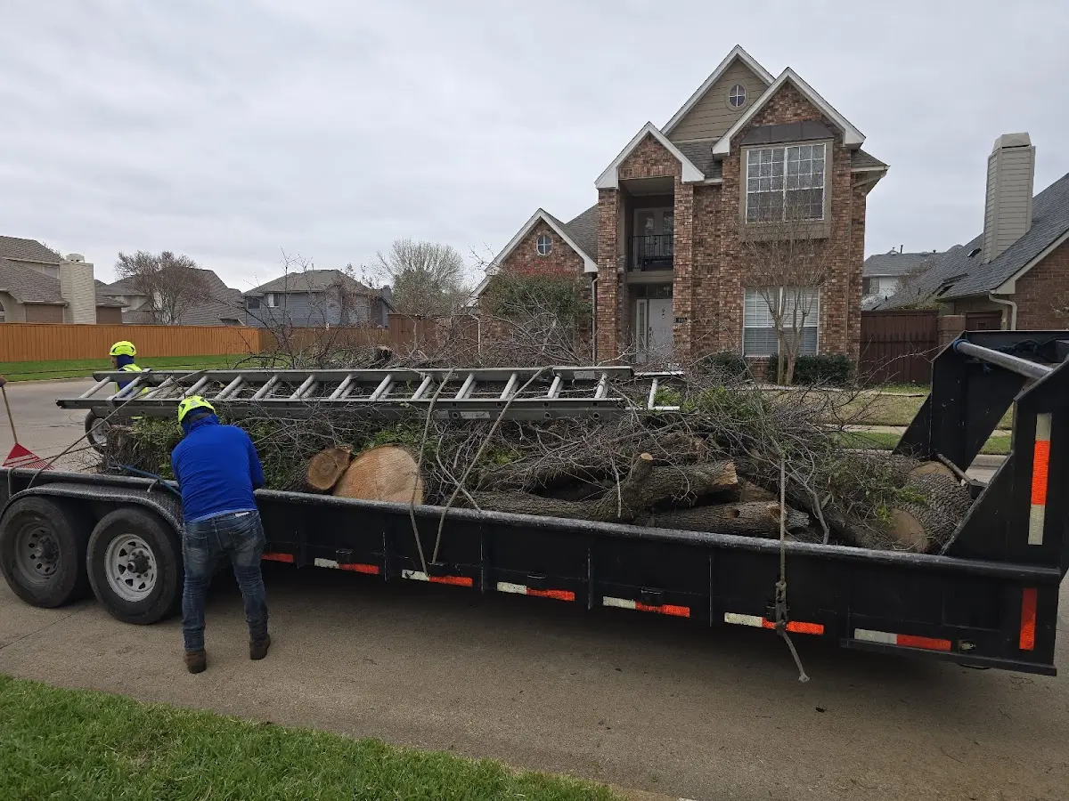 Expert Lot Clearing with proper safety equipment in Hartford